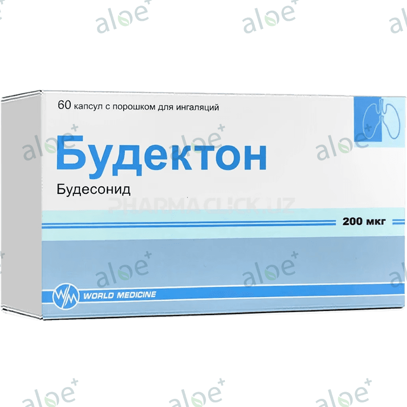 Budekton 200 mq 60 əd