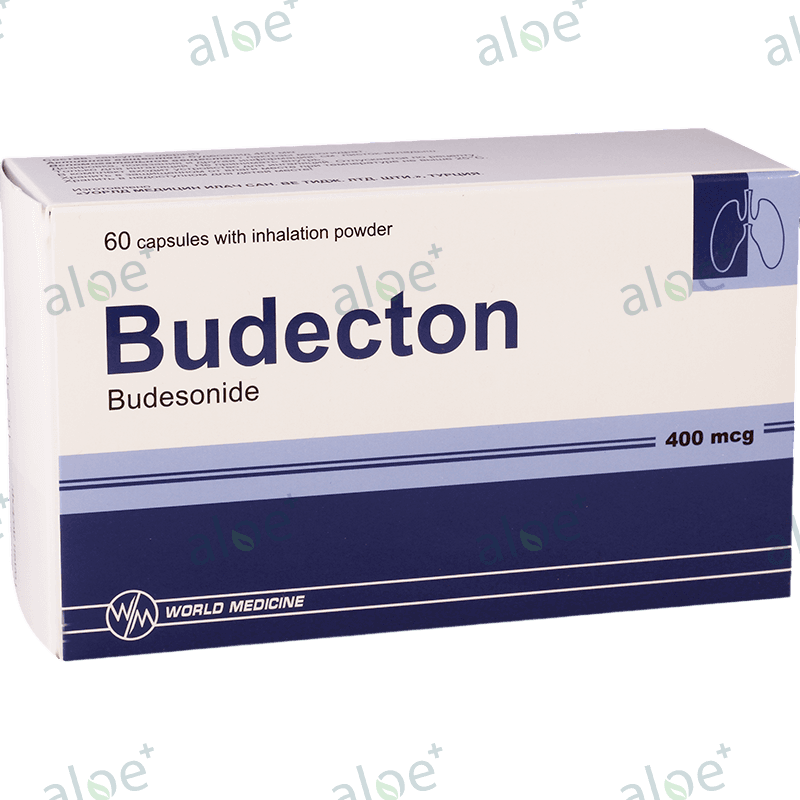 Budekton 400 mq 60 əd