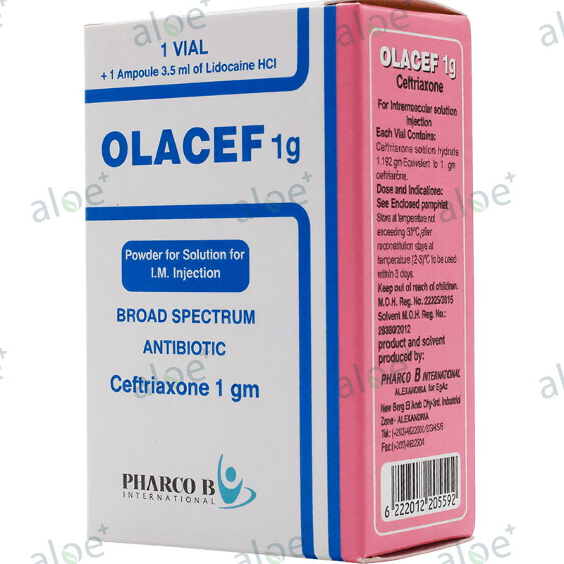 Olacef 1000 mq 1 əd