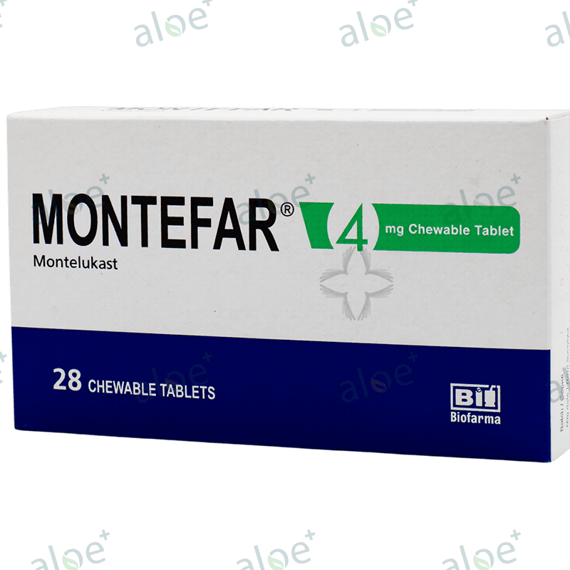 Montefar 4 mq 28 əd