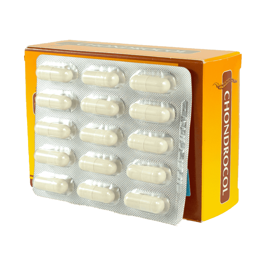 Chondrocol 60 əd.