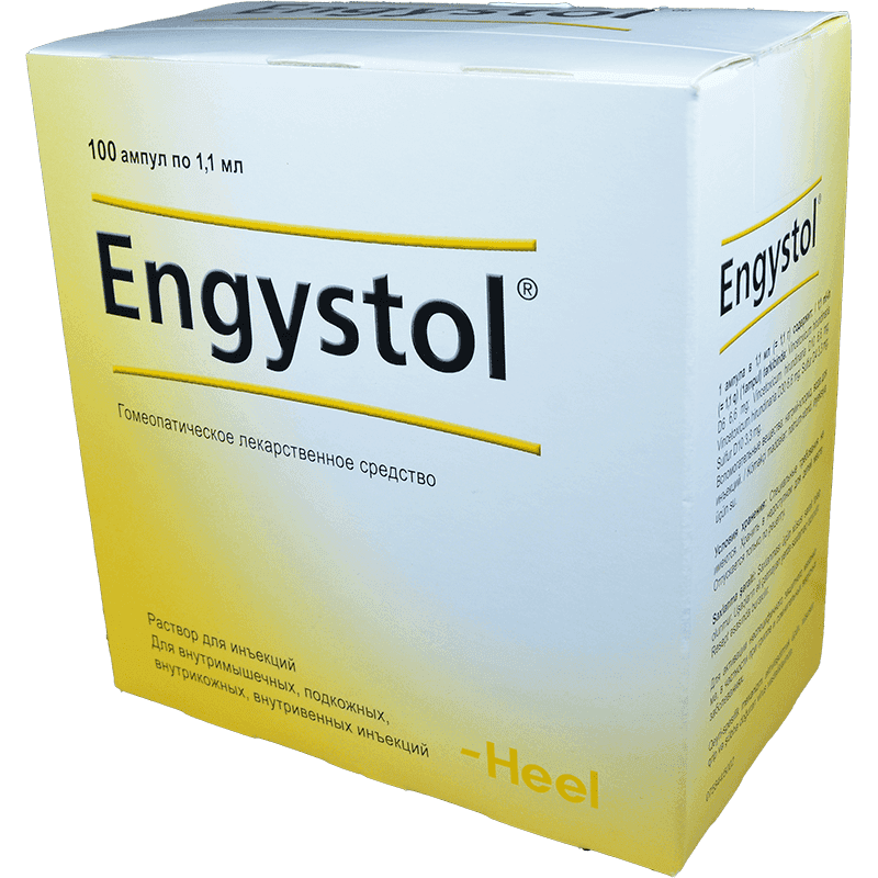 Engystol 5 əd.
