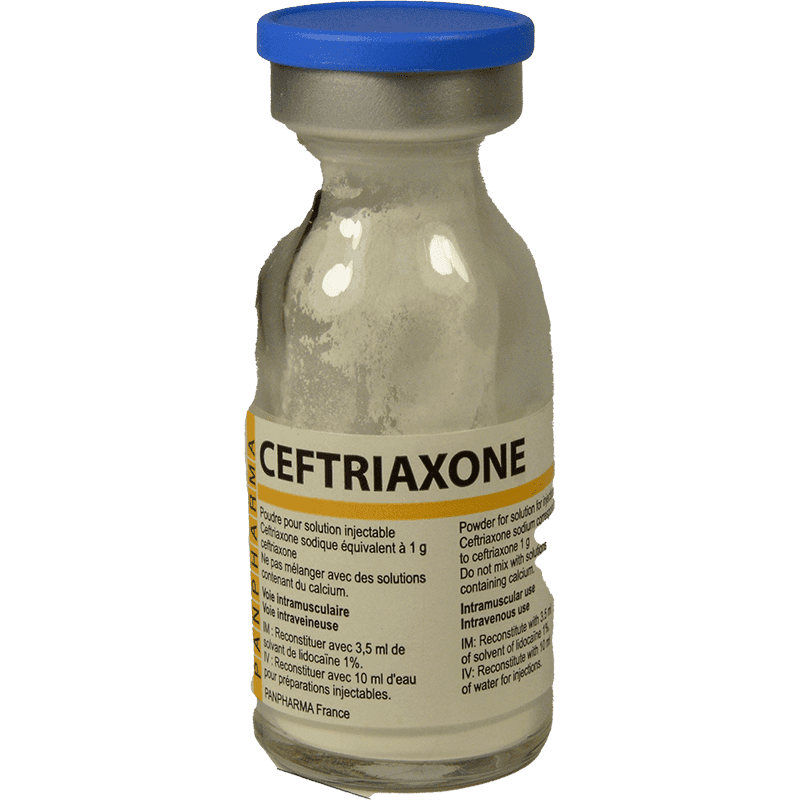 Pan-ceftriaxone 1 q