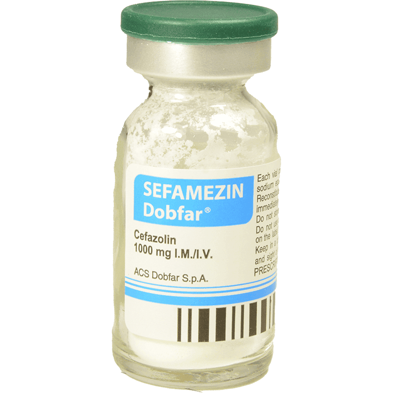 Cefamezin 1 q