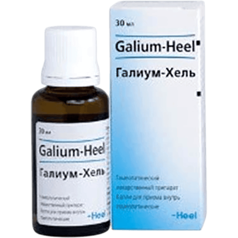 Galium-Heel 30 ml