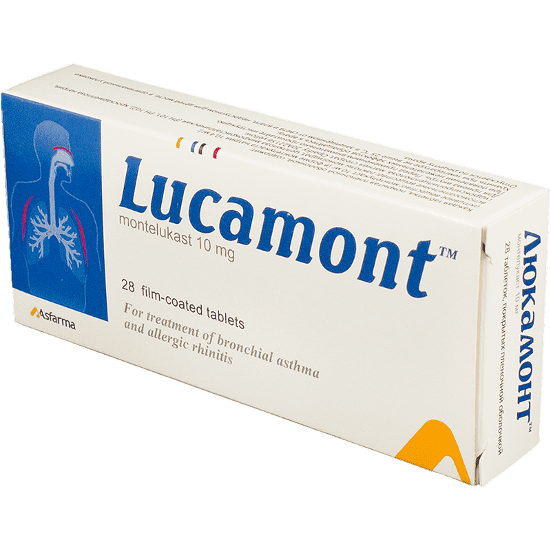 Lukamont 10 mq 28 əd