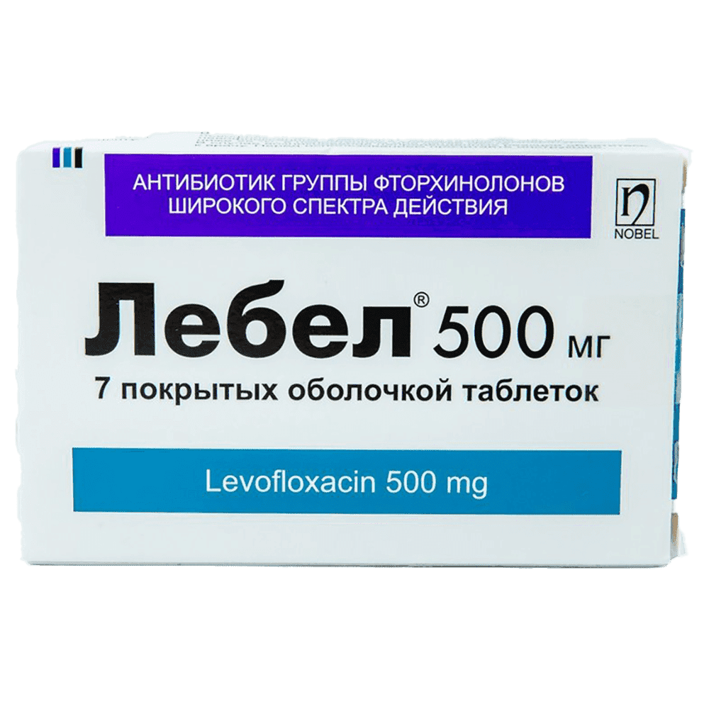 Lebel 500 mq 7 əd