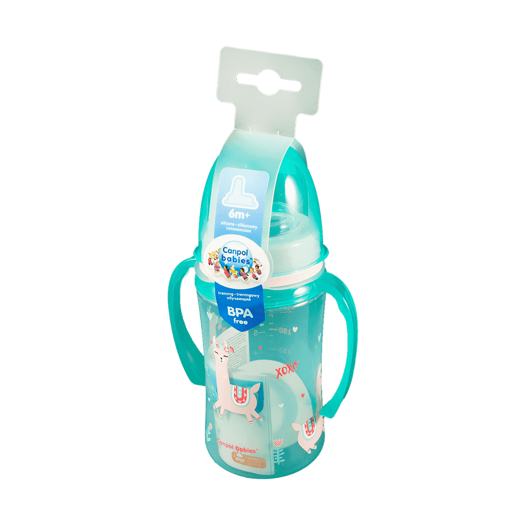 Fincan 240 ml