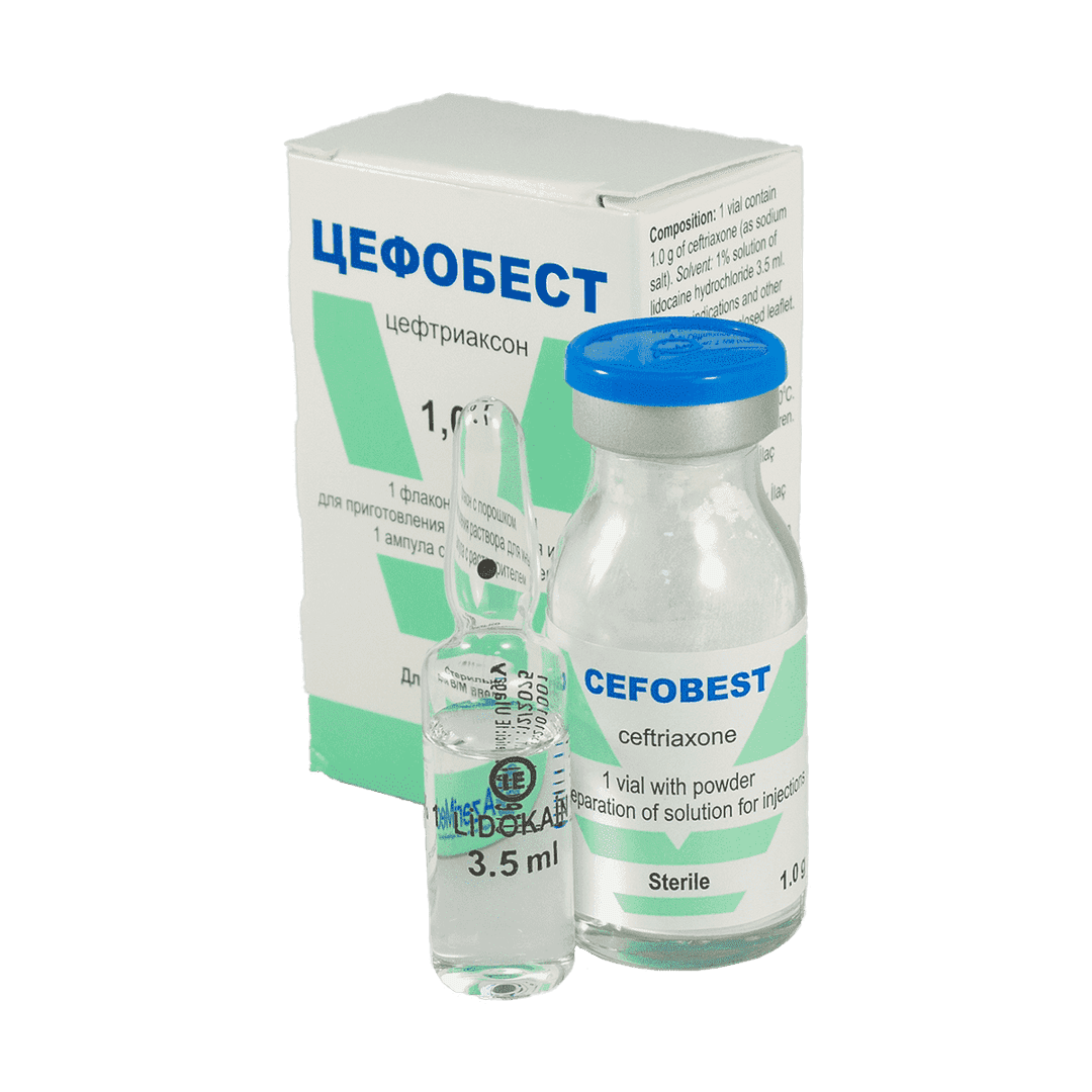 Cefobest 1000 mg1 əd.
