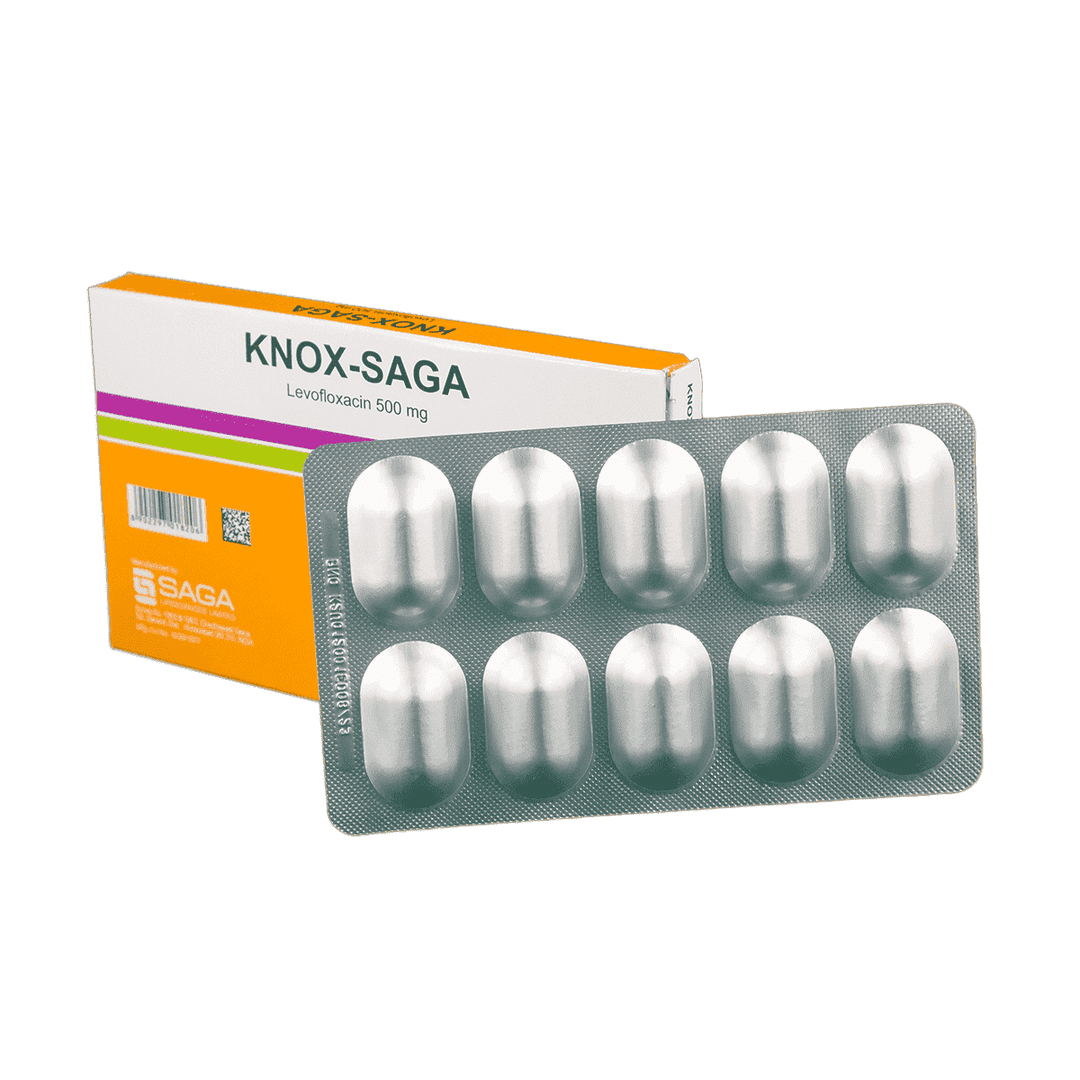Knox-Saga 500 mq 10 əd