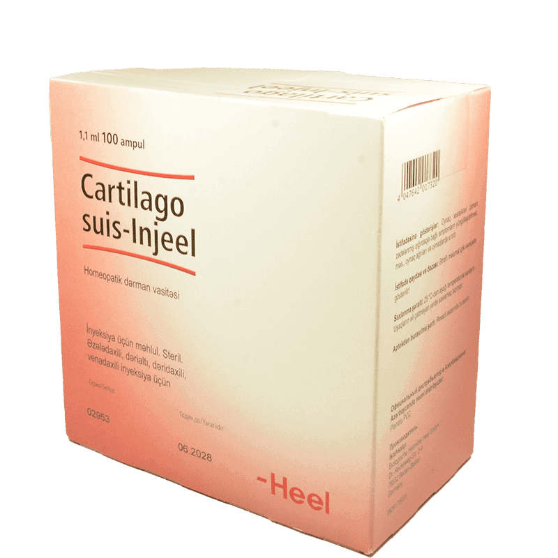 Cartilago sius-injeel 5 əd