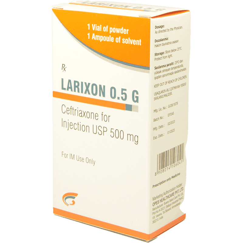 Larixon 500 mq