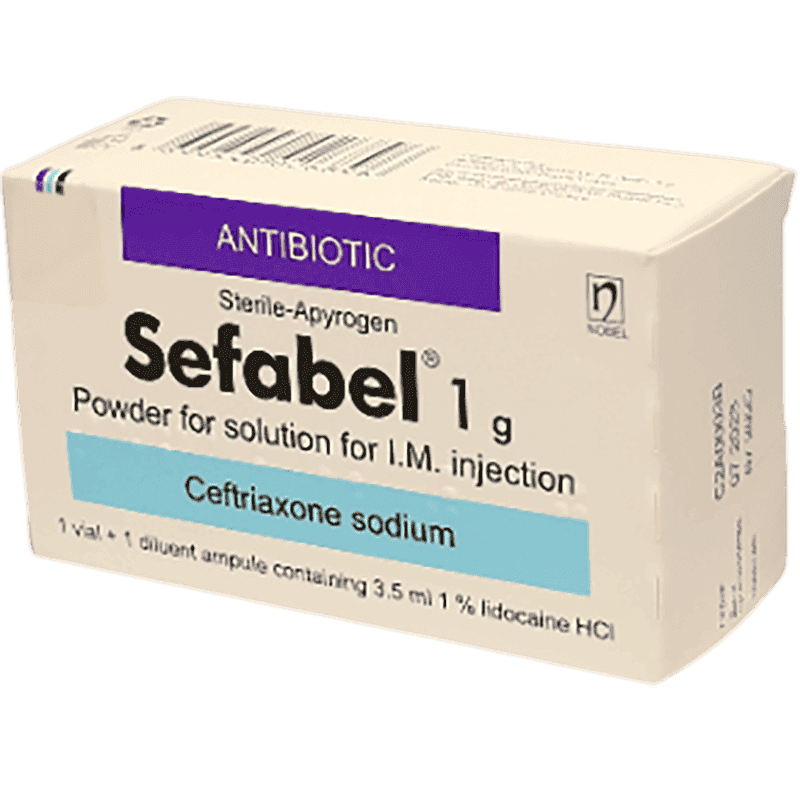 Sefabel 1000 mq 1 əd
