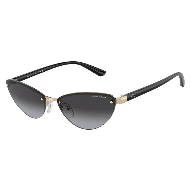 Armani Exchange AX2049S 61108G 58 W, Günəş eynəyi