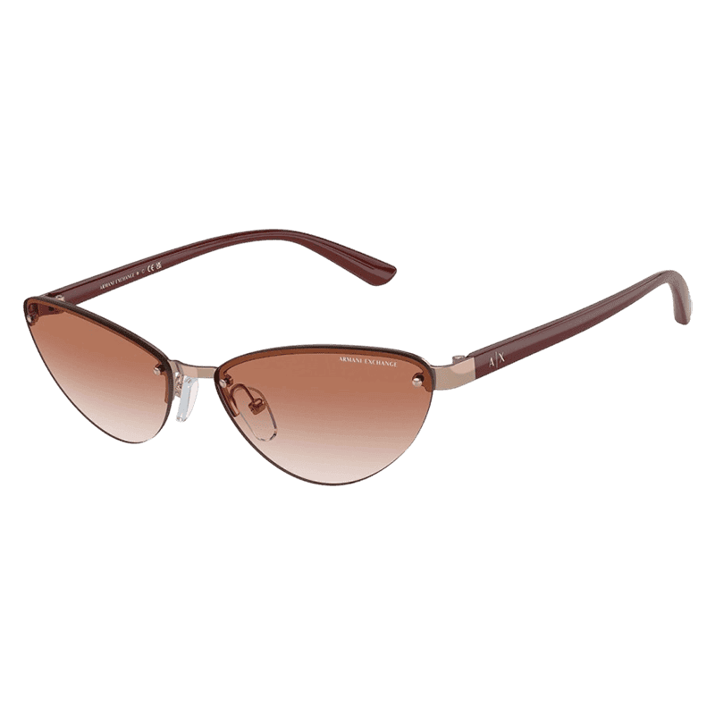 Armani Exchange AX2049S 610313 58 W, Günəş eynəyi