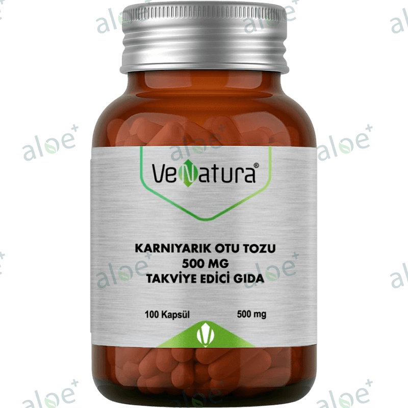 Venatura Psyllium 100 əd